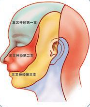 微信截图_20210208161025.png