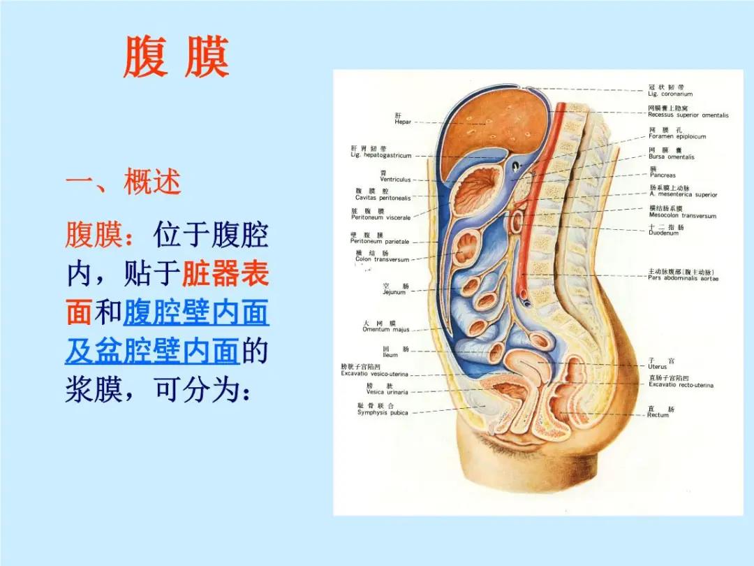 微信图片_20210311145053.jpg 微信图片_20210311145053.jpg