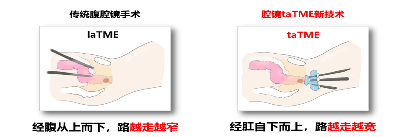 1768993065515572.png 图片 12.png