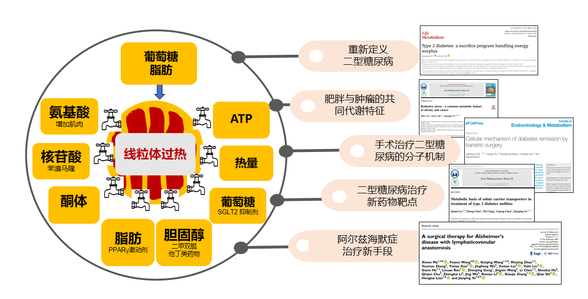 1779968939685362.png 叶建平2.png