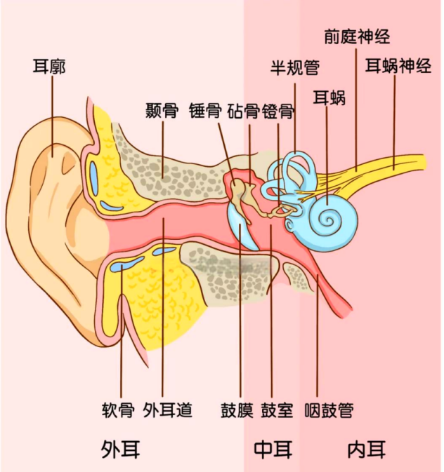 1783994121852384.png 图片 1.png